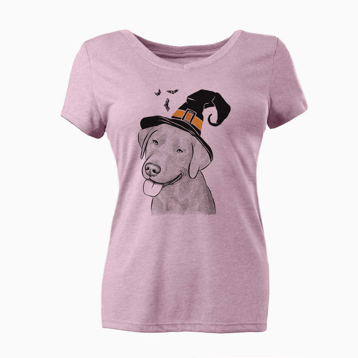 Witch Zeppelin the Black Labrador - Women's V-neck Shirt