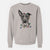 Christmas Lights Amigo the Heeler Mix - Unisex Pigment Dyed Crew Sweatshirt