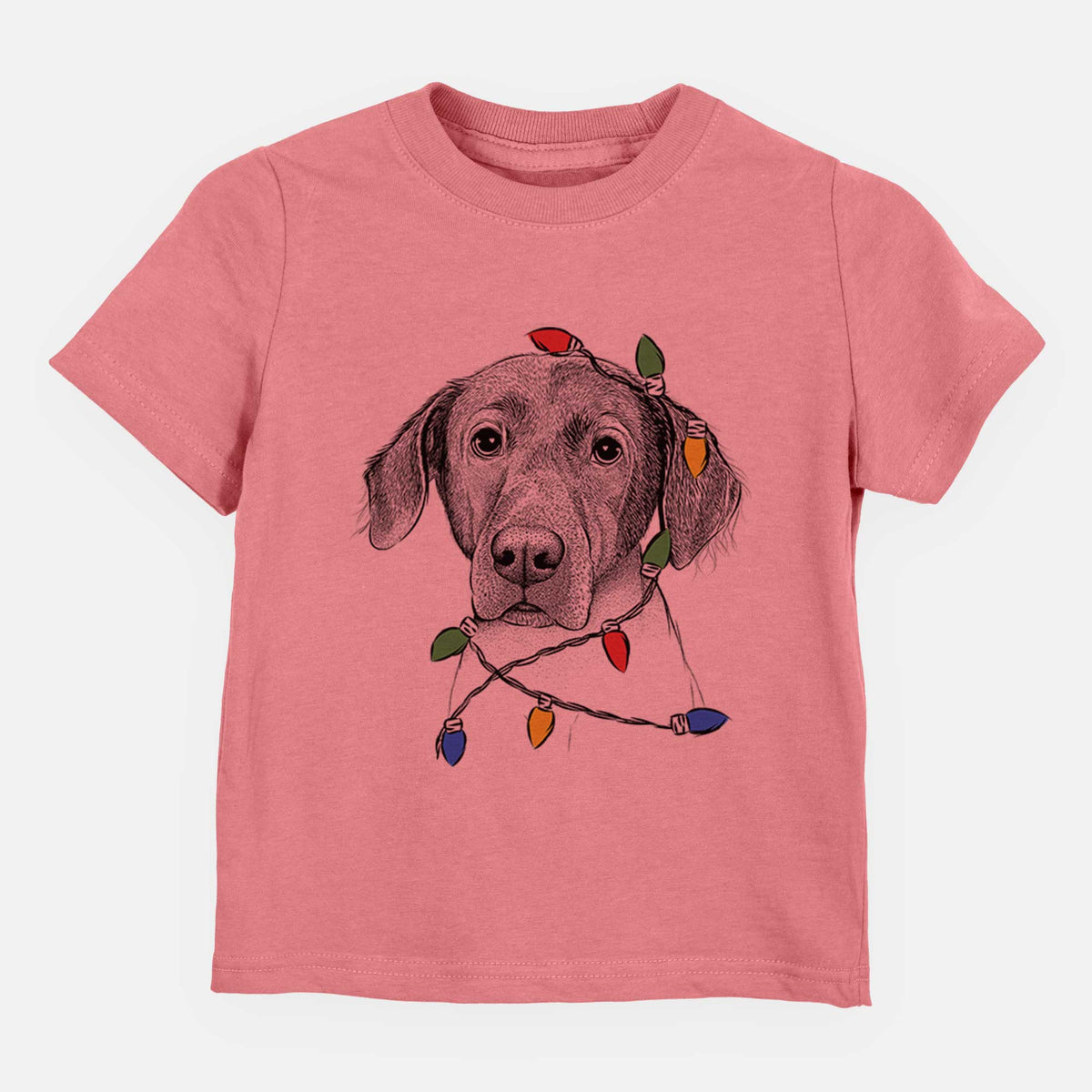 Christmas Lights Baldwin the Mixed Breed - Kids/Youth/Toddler Shirt