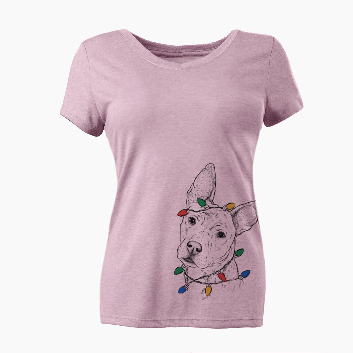 Christmas Lights Diesel the Mixed Breed - Women's Perfect V-neck Shirt