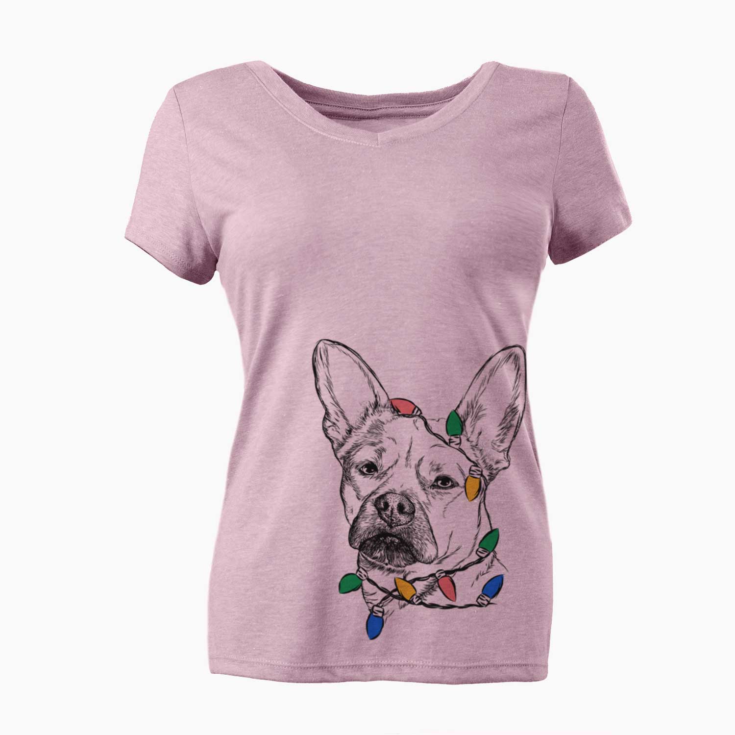 Christmas Lights Frankie the Mixed Breed - Women's V-neck Shirt