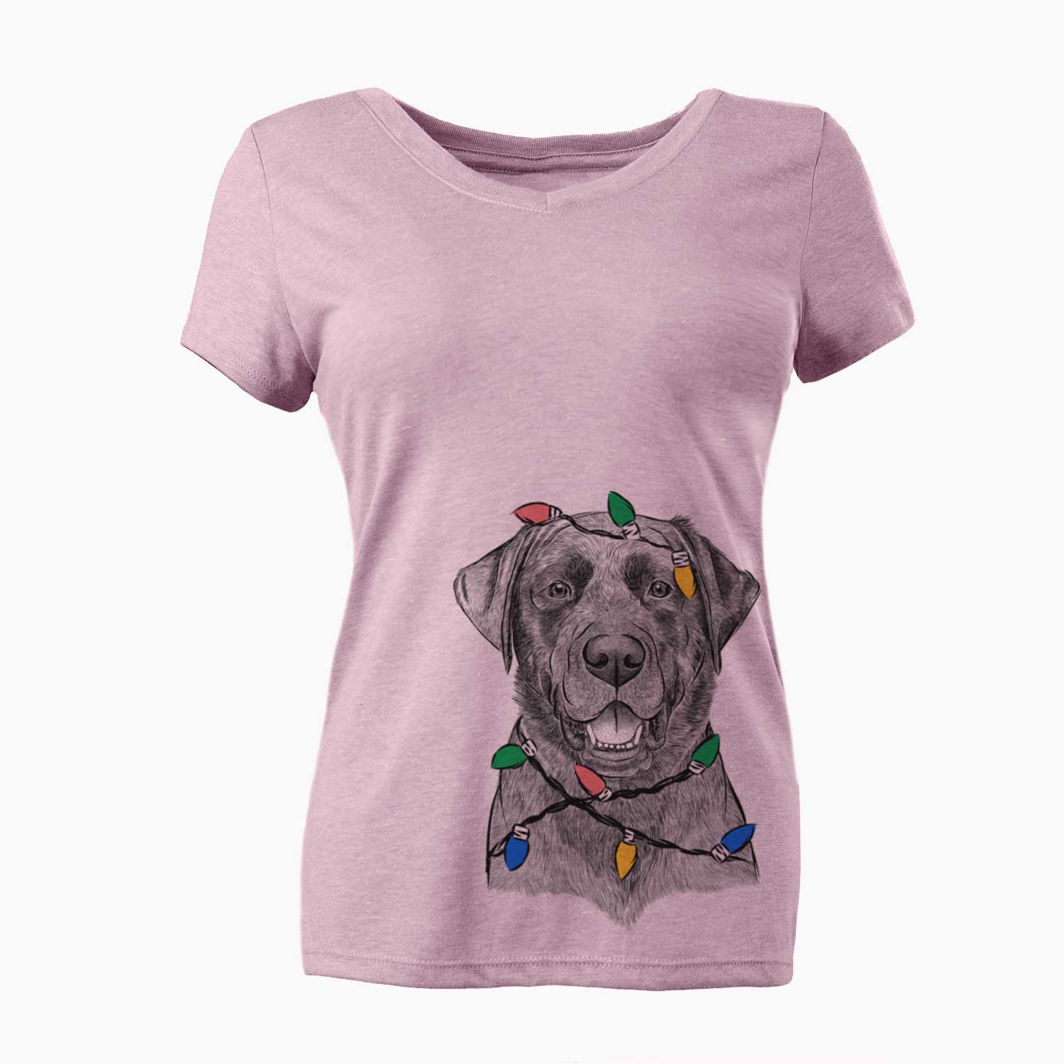 Christmas Lights Heath the Black Lab - Women's V-neck Shirt