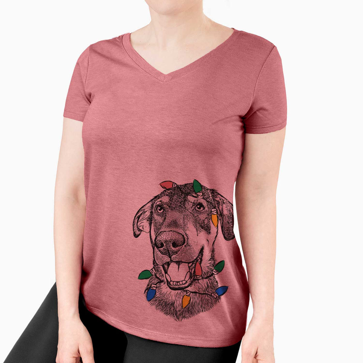 Christmas Lights Jet the Mixed Breed - Women's V-neck Shirt