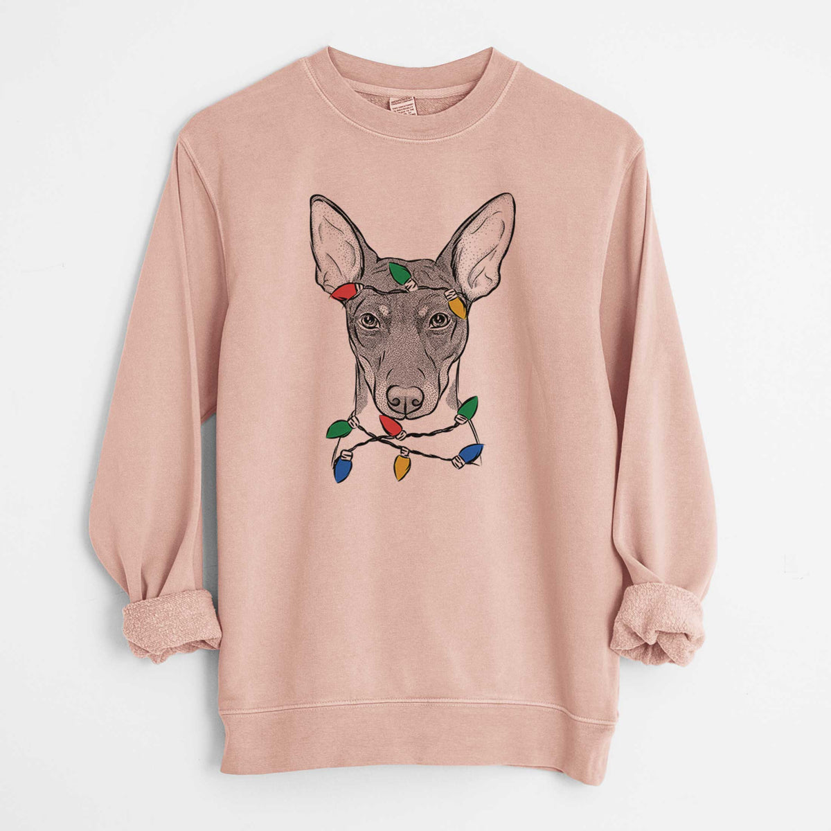 Christmas Lights Knox the Rat Terrier - Unisex Pigment Dyed Crew Sweatshirt