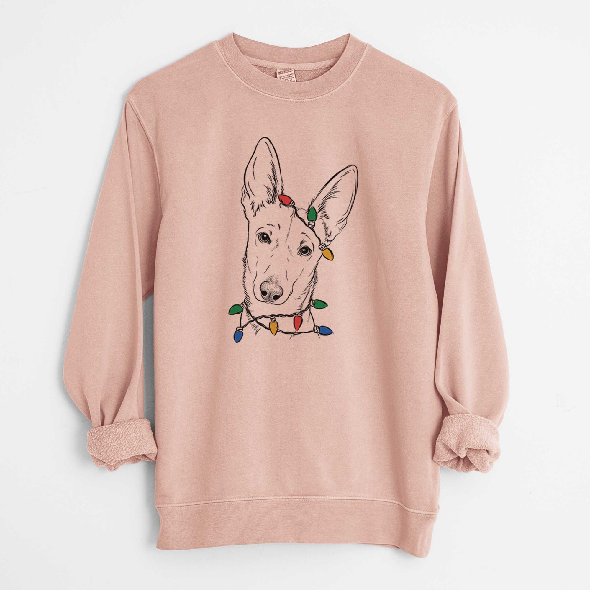 Christmas Lights Nala the Carolina Dog - Unisex Pigment Dyed Crew Sweatshirt