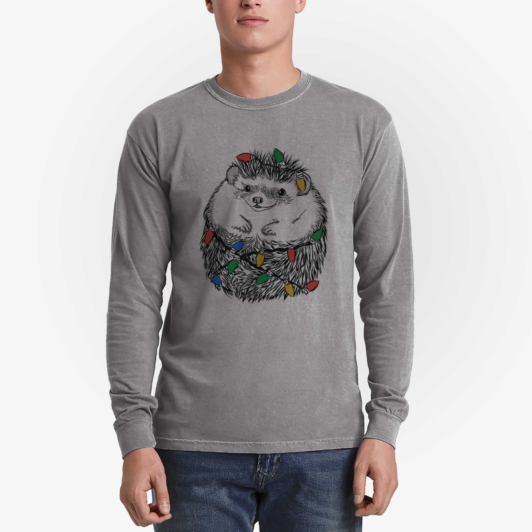 Christmas Lights Sid the Hedgehog - Heavyweight 100% Cotton Long Sleeve