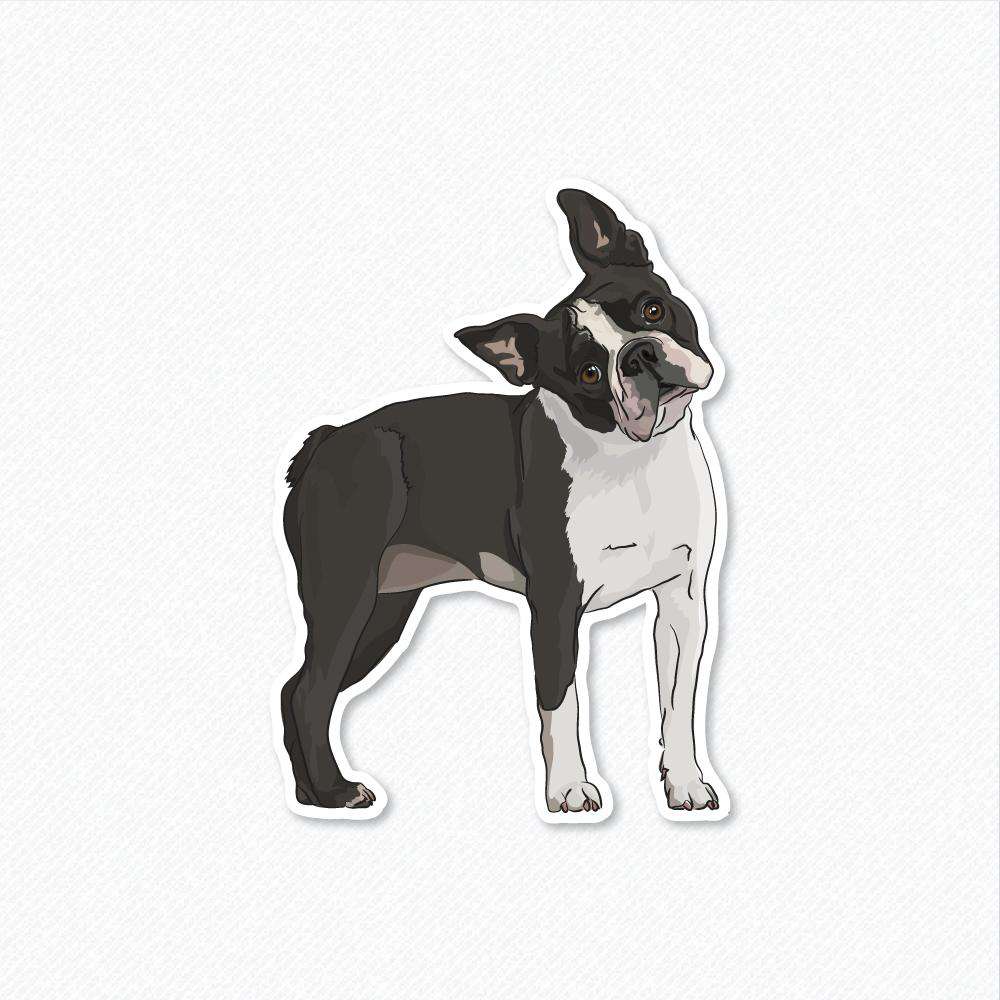 Lola - Boston Terrier - Decal Sticker